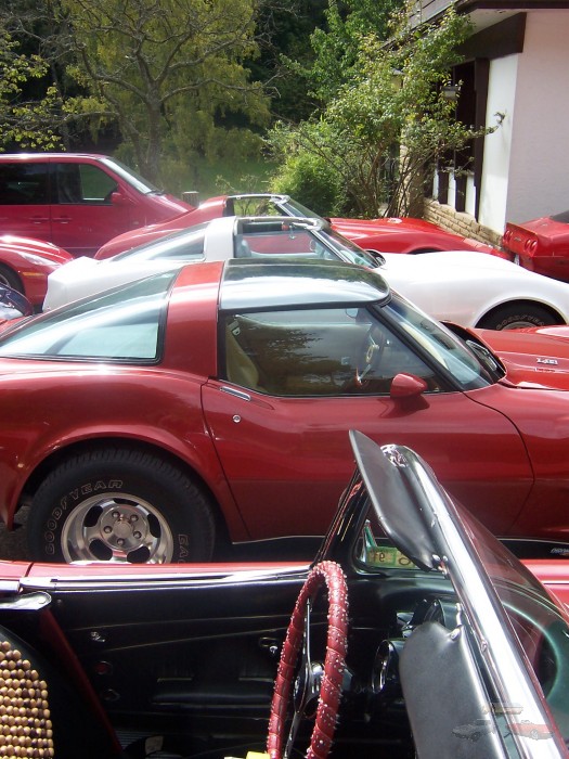 20080921Pfalz 028.JPG